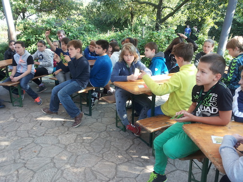 Umweltzentrum 5c 2014-15