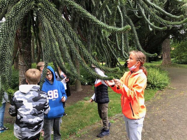 Besuch des Botanischen Gartens