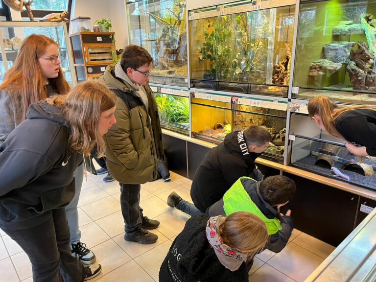 Projektwoche der Gesamtschule Uerdingen: Ein Besuch im Zoo mit dem Fokus auf Bildung für nachhaltige Entwicklung (BNE)